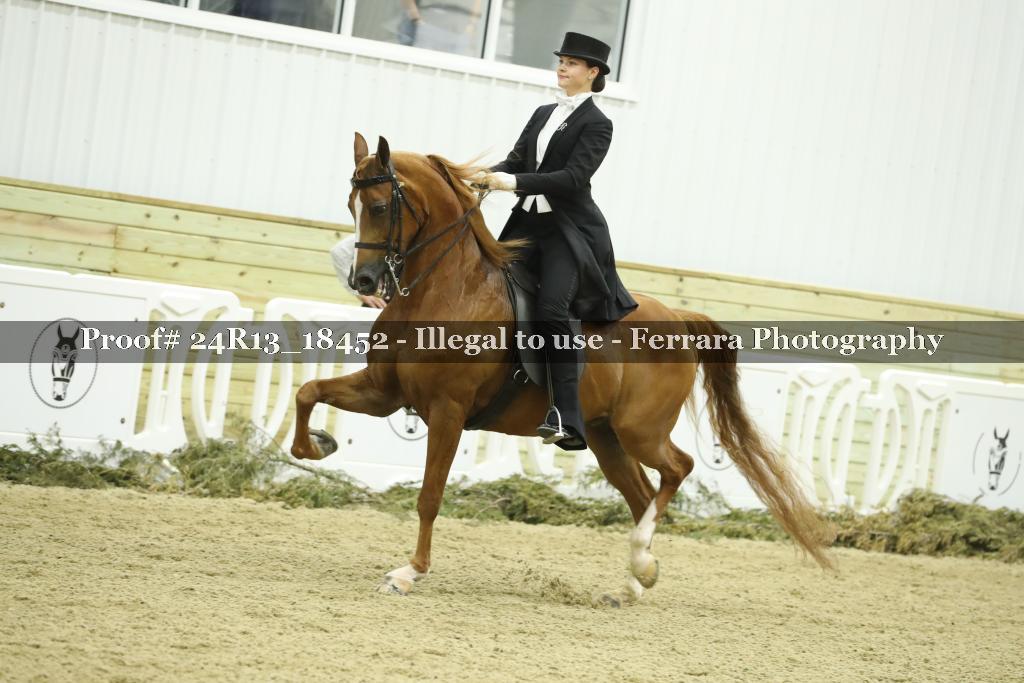 Proof 24R13_18452