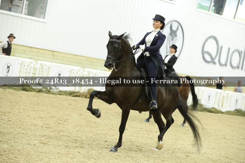 Proof 24R13_18454