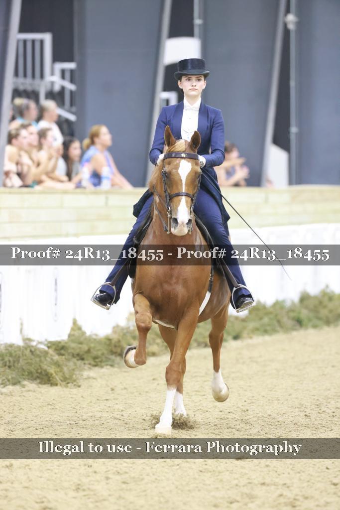 Proof 24R13_18455