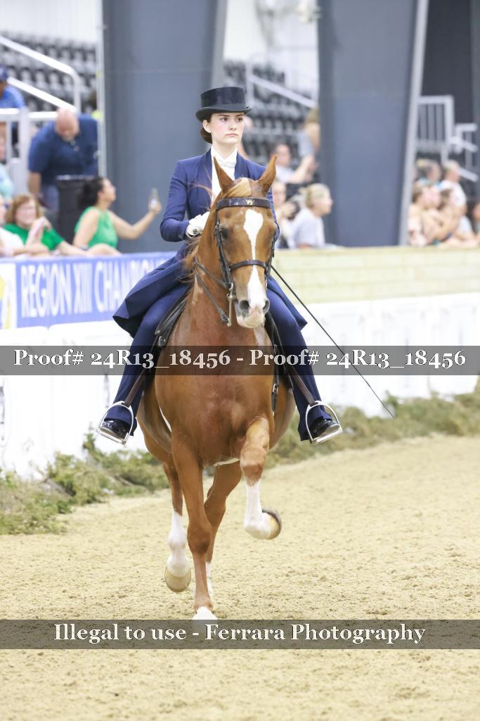 Proof 24R13_18456