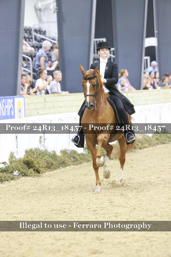 Proof 24R13_18457