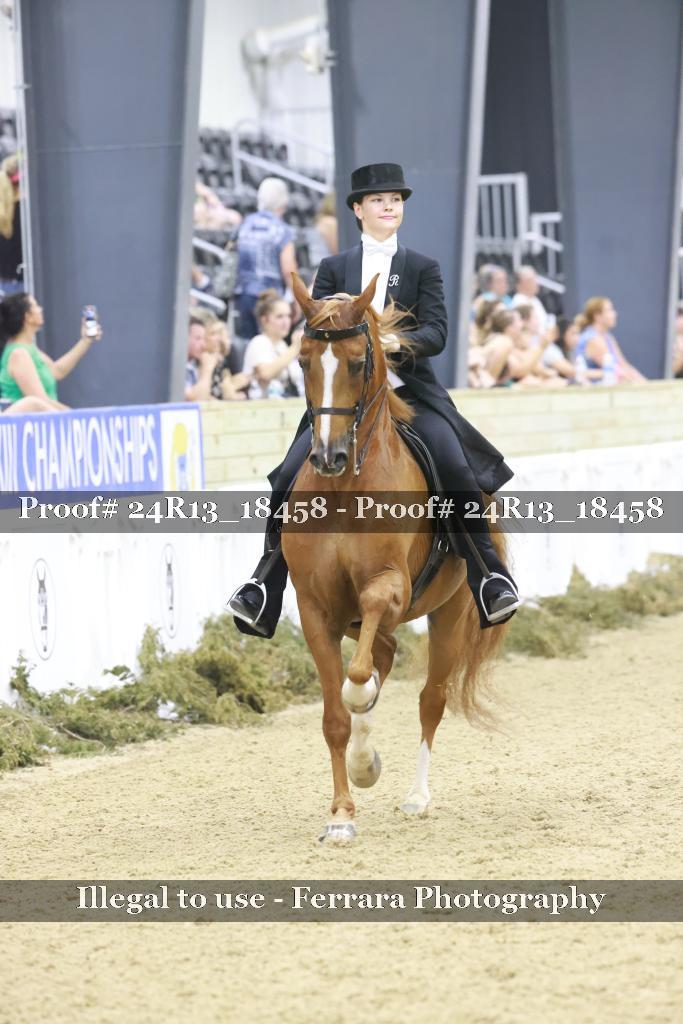 Proof 24R13_18458