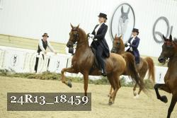 24R13_18459 proof