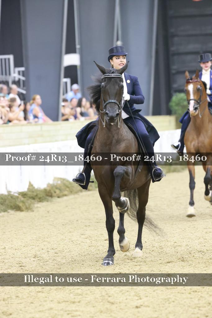 Proof 24R13_18460