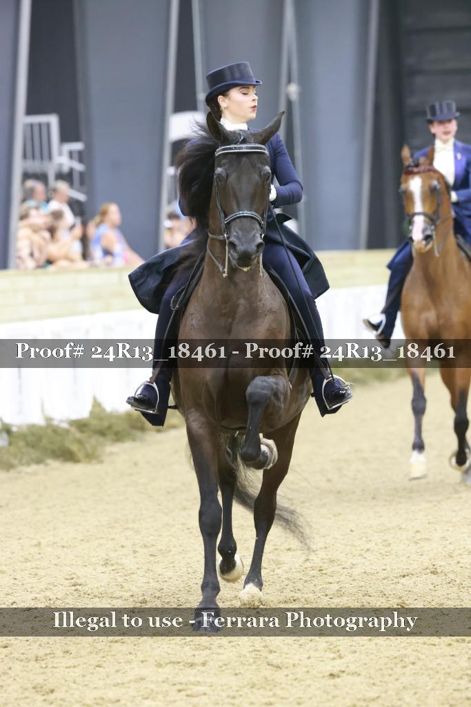 Proof 24R13_18461