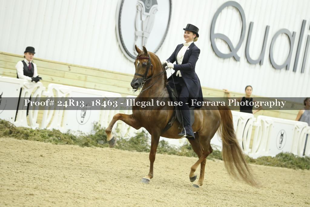 Proof 24R13_18463