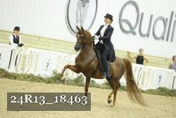 24R13_18463 proof