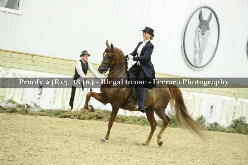 Proof 24R13_18464