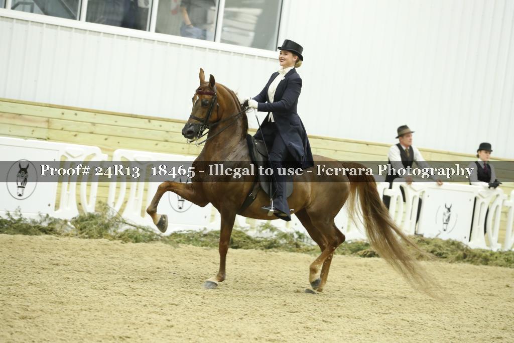Proof 24R13_18465