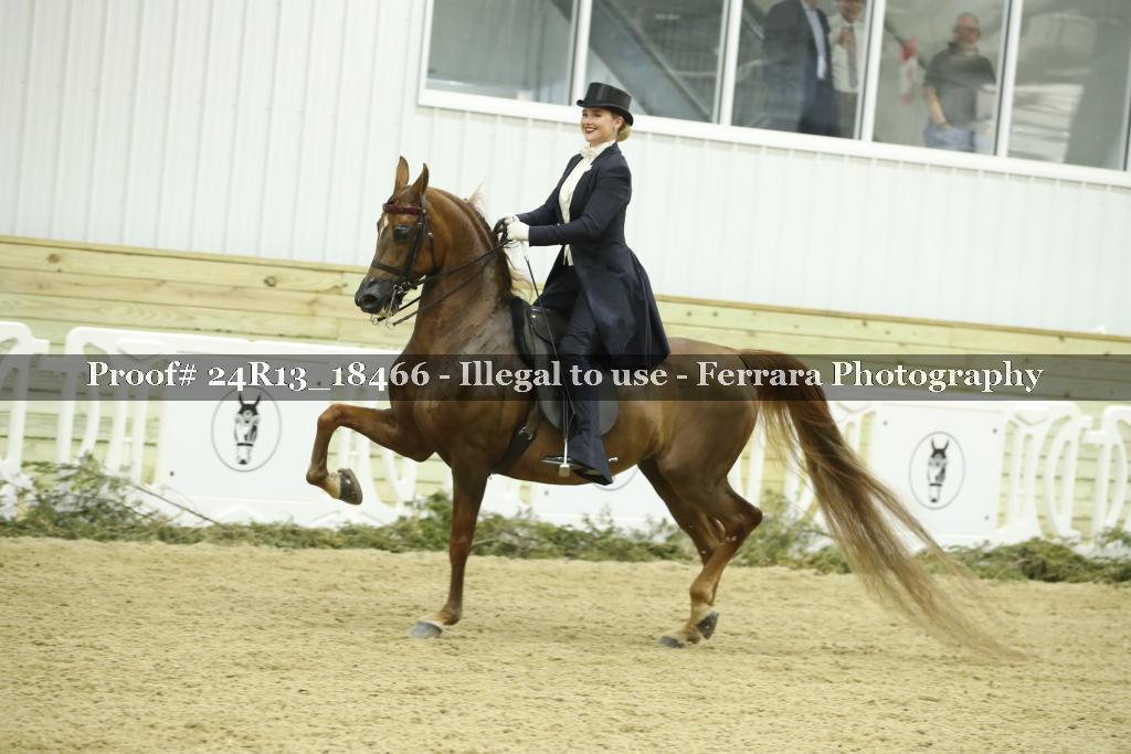 Proof 24R13_18466