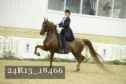 24R13_18466 proof