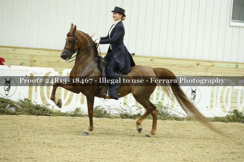 Proof 24R13_18467
