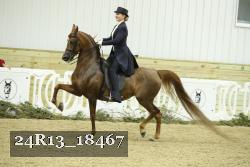 24R13_18467 proof