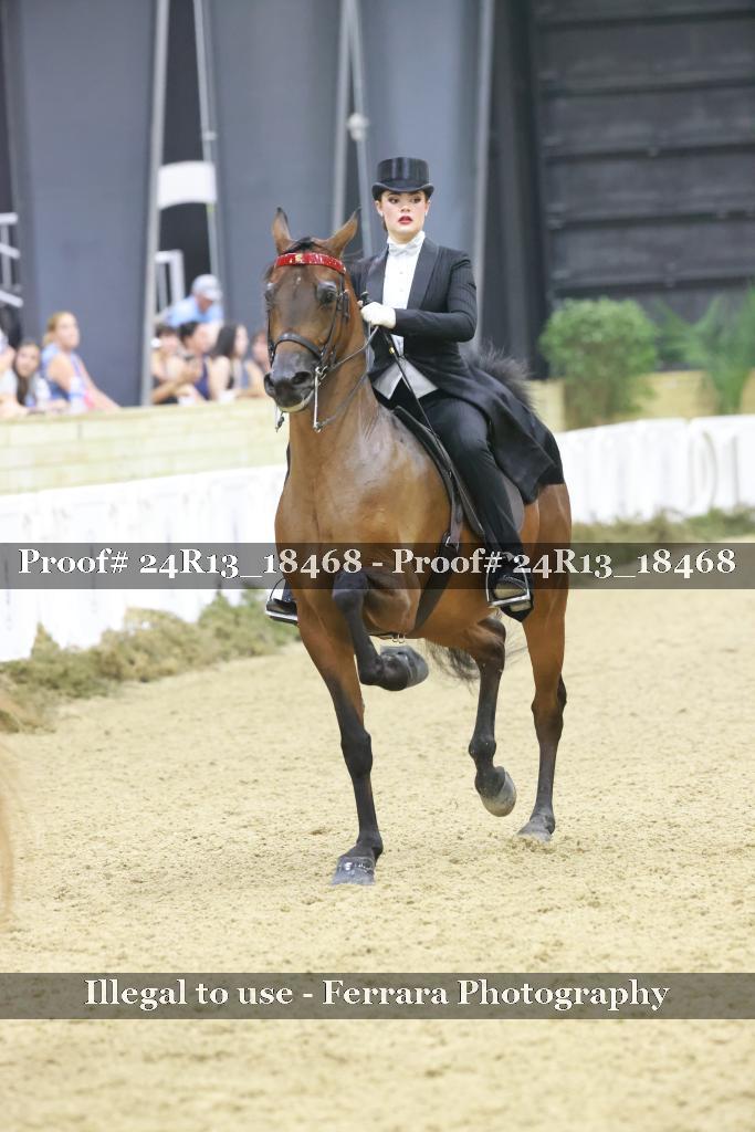 Proof 24R13_18468
