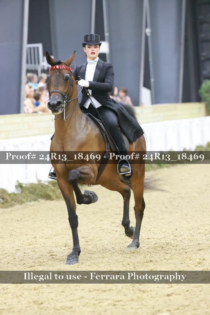 Proof 24R13_18469