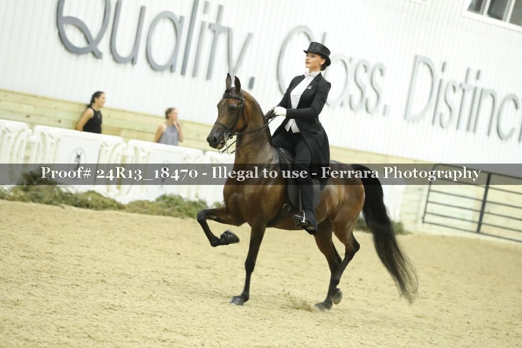 Proof 24R13_18470