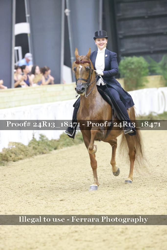 Proof 24R13_18471