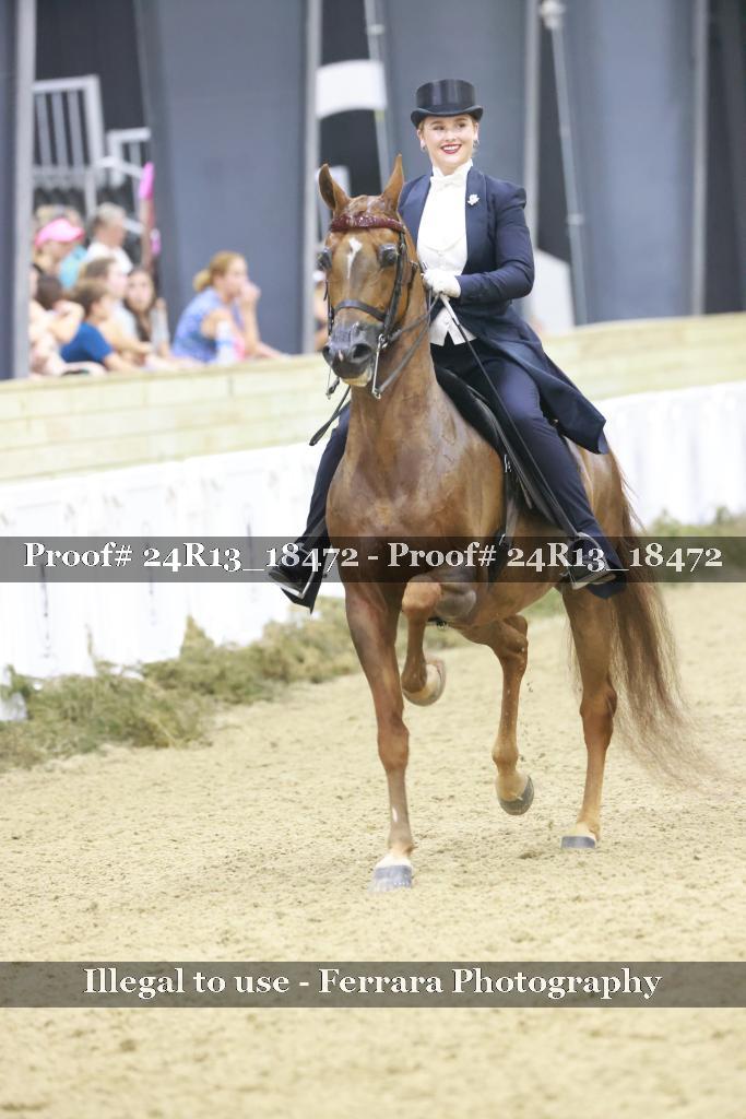 Proof 24R13_18472