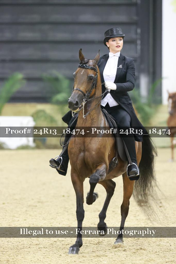 Proof 24R13_18474