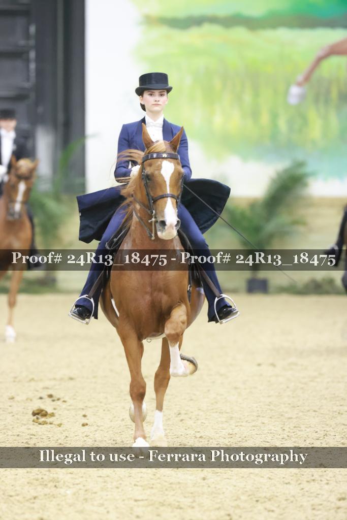 Proof 24R13_18475