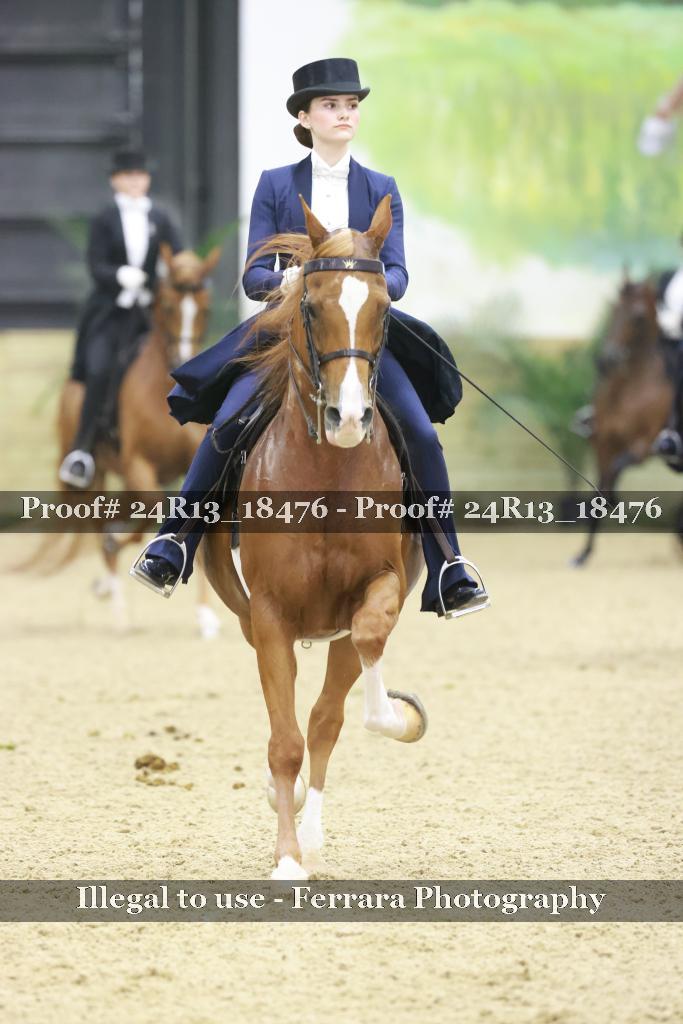 Proof 24R13_18476