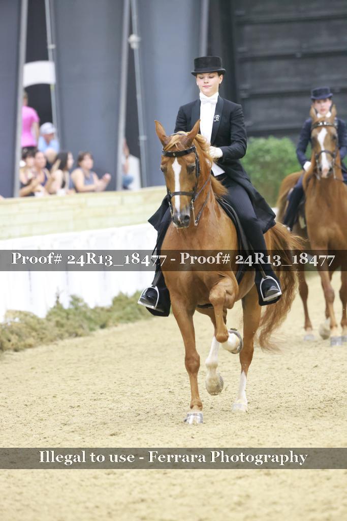 Proof 24R13_18477