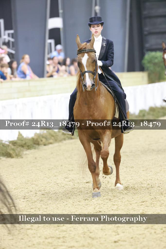 Proof 24R13_18479