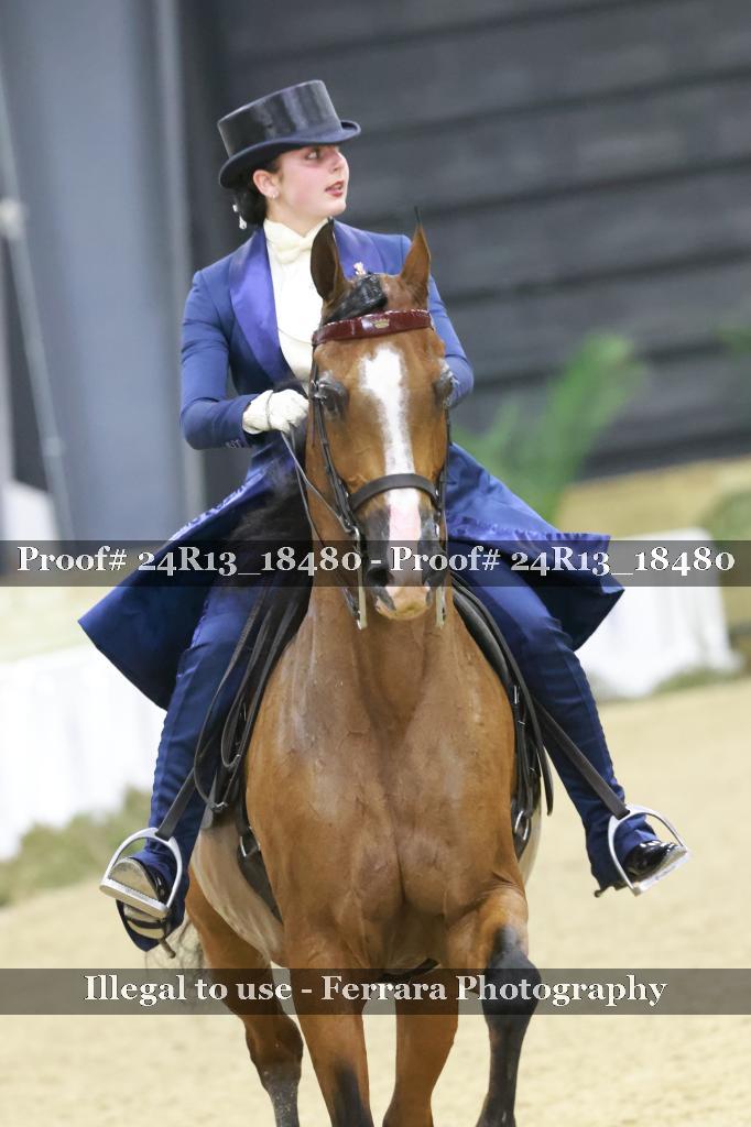 Proof 24R13_18480