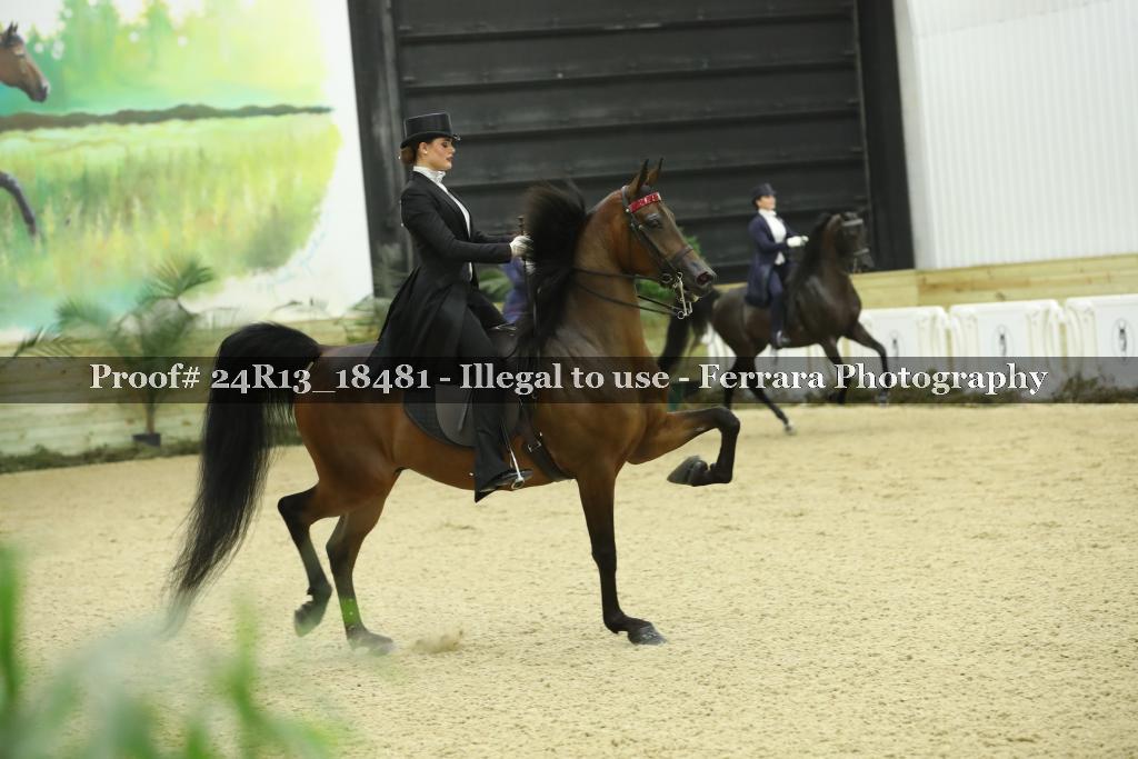 Proof 24R13_18481