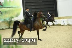 24R13_18481 proof