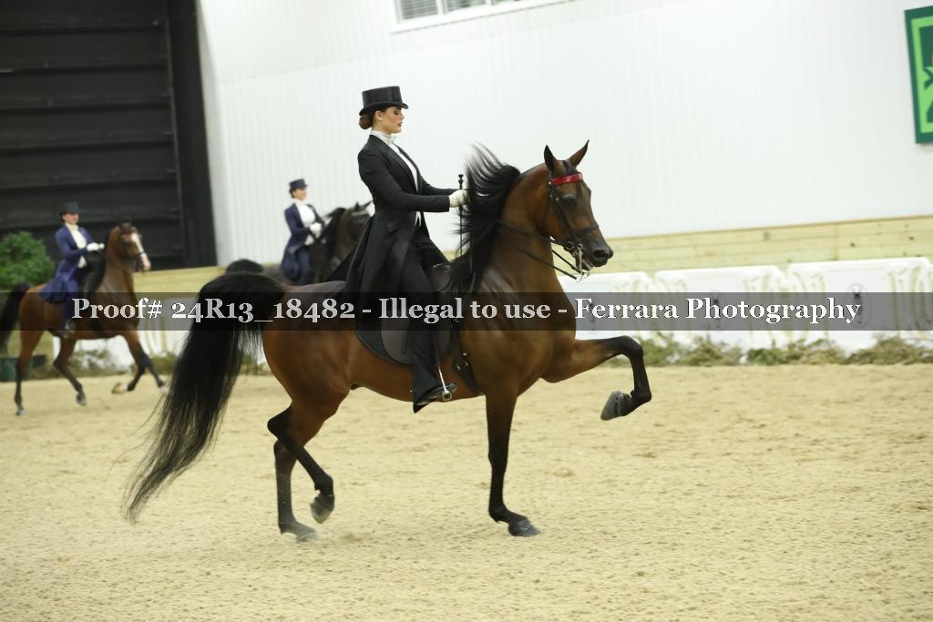 Proof 24R13_18482