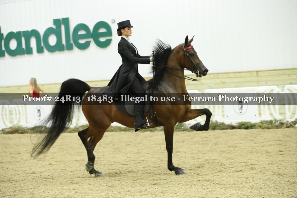 Proof 24R13_18483
