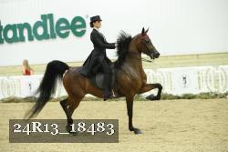 24R13_18483 proof
