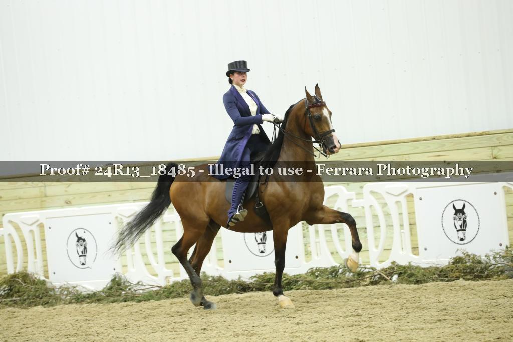 Proof 24R13_18485