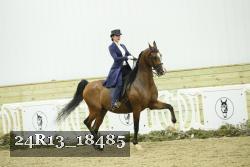 24R13_18485 proof