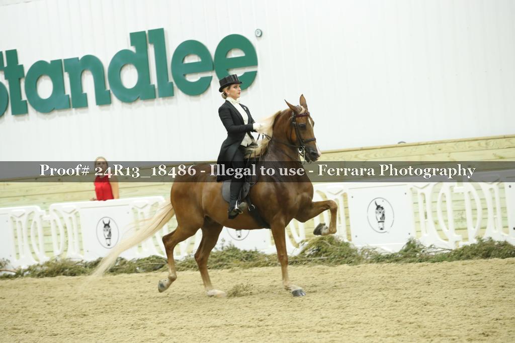 Proof 24R13_18486