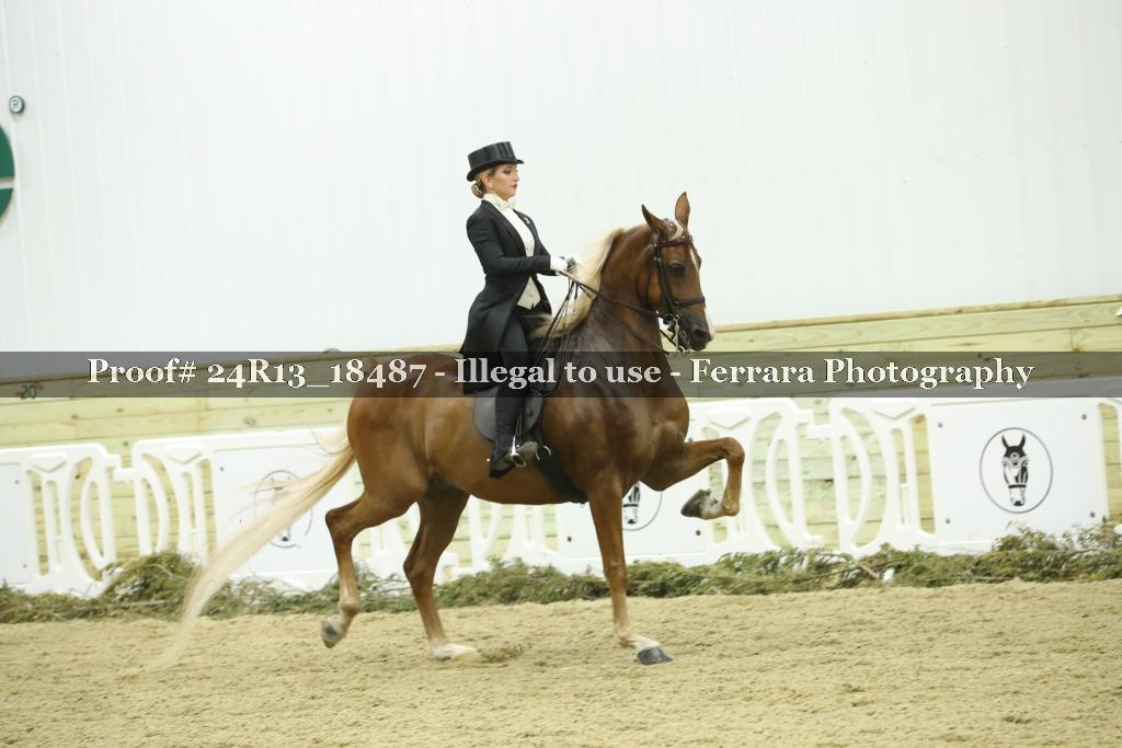 Proof 24R13_18487