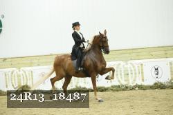 24R13_18487 proof