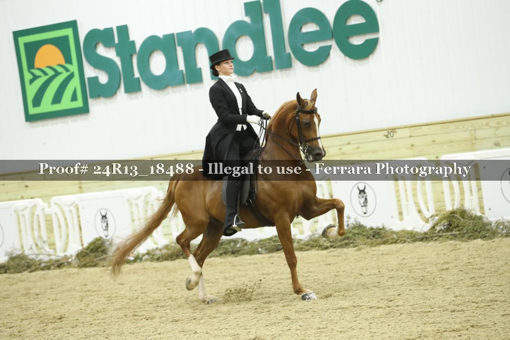 Proof 24R13_18488