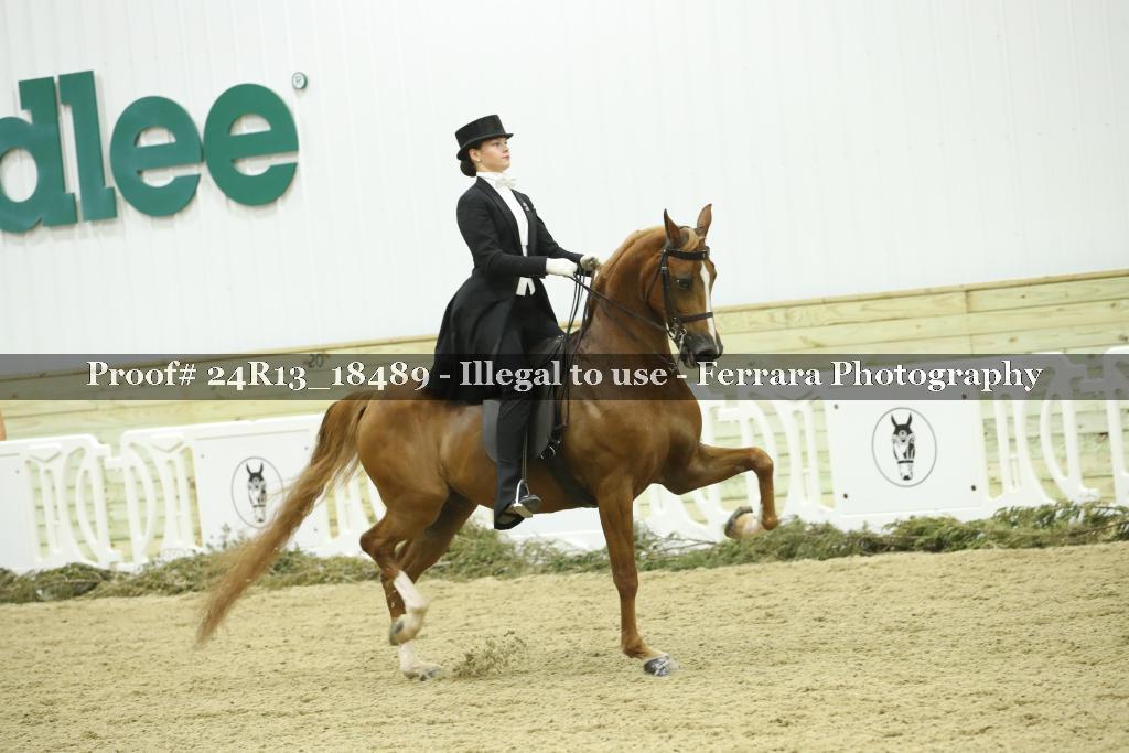 Proof 24R13_18489