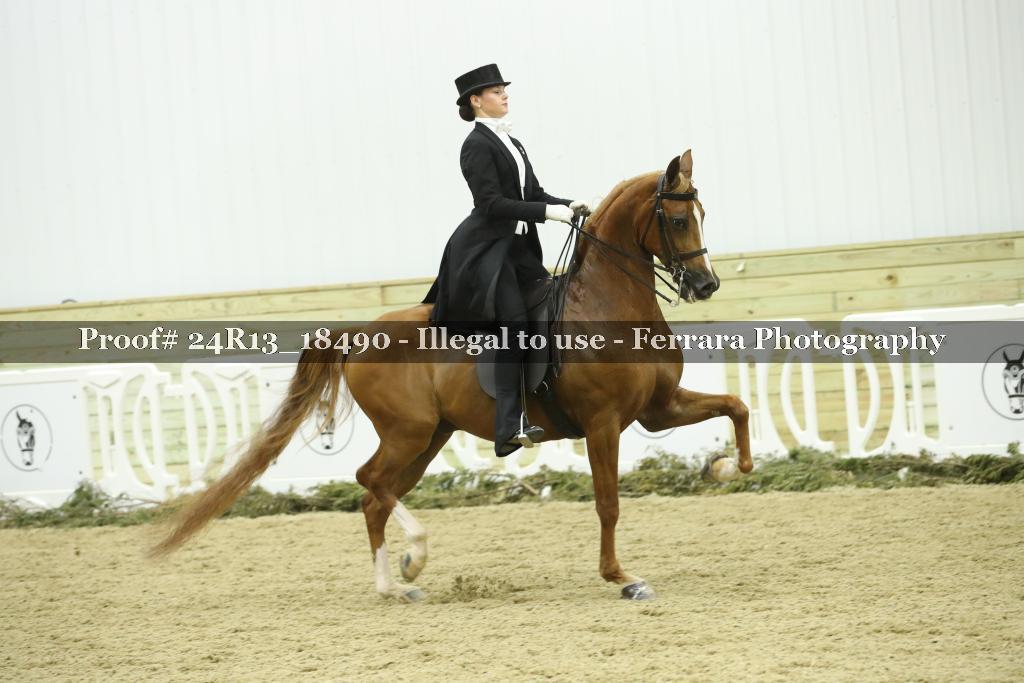 Proof 24R13_18490