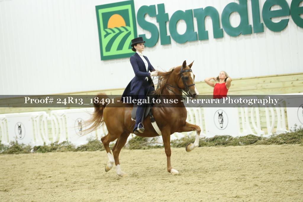 Proof 24R13_18491