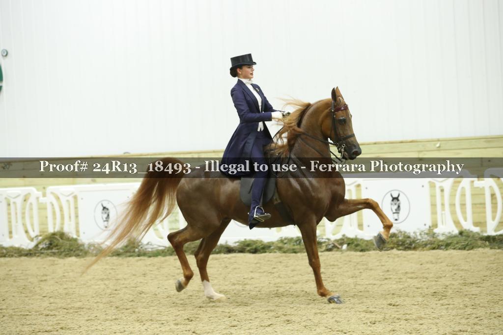 Proof 24R13_18493