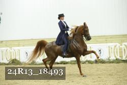 24R13_18493 proof