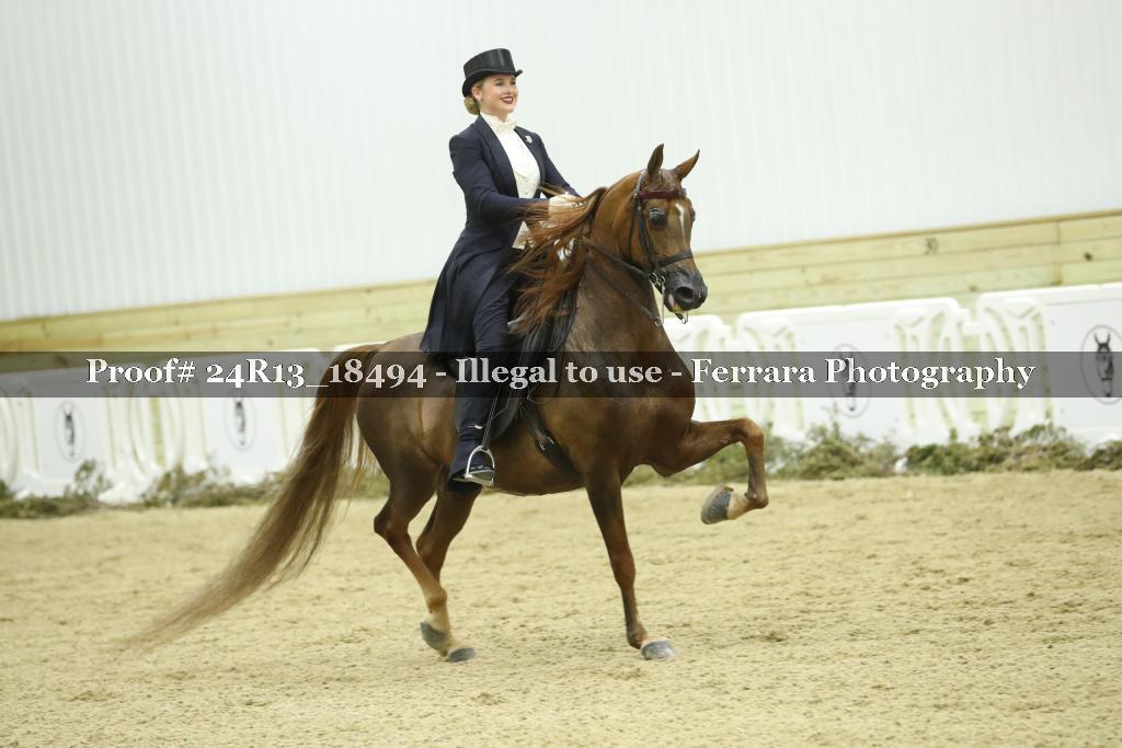 Proof 24R13_18494