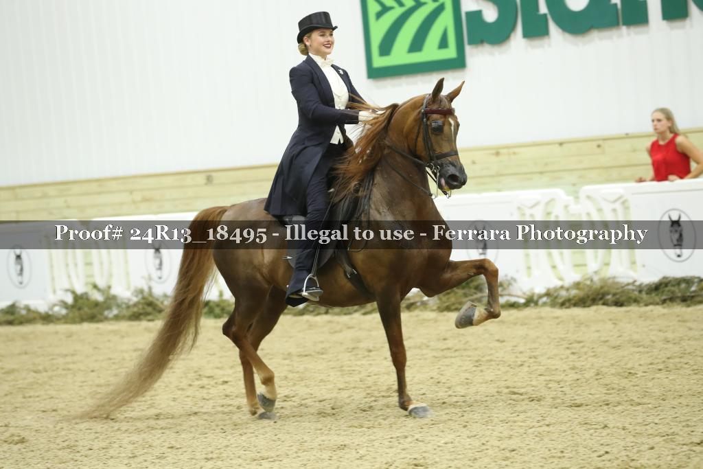 Proof 24R13_18495