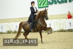 24R13_18495 proof