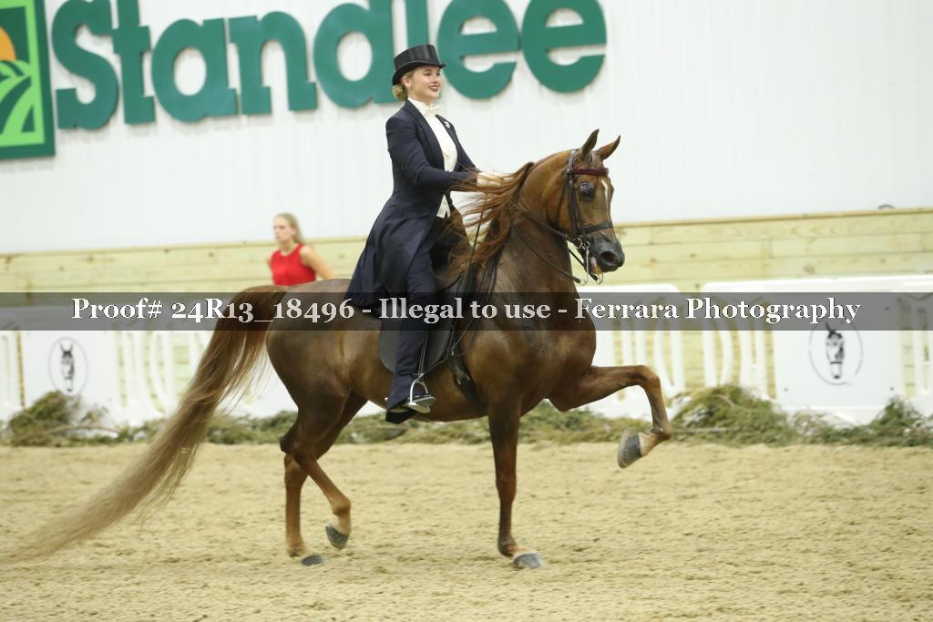 Proof 24R13_18496