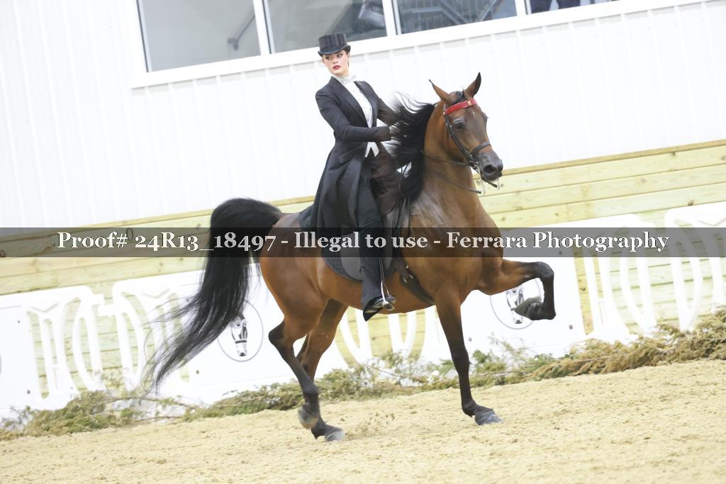 Proof 24R13_18497