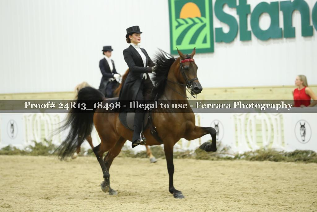 Proof 24R13_18498